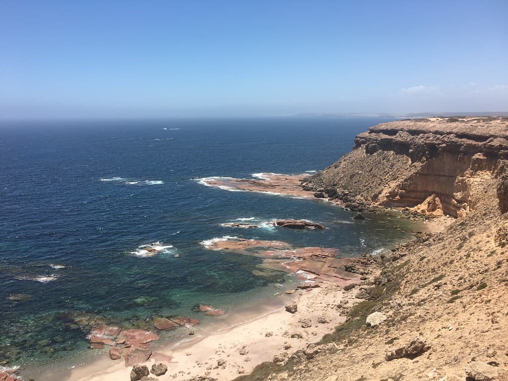 Point Labott