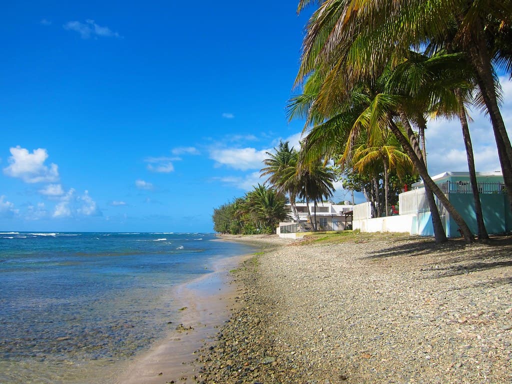 Punta Tuna Beach — photo by Joe Shlabotnik