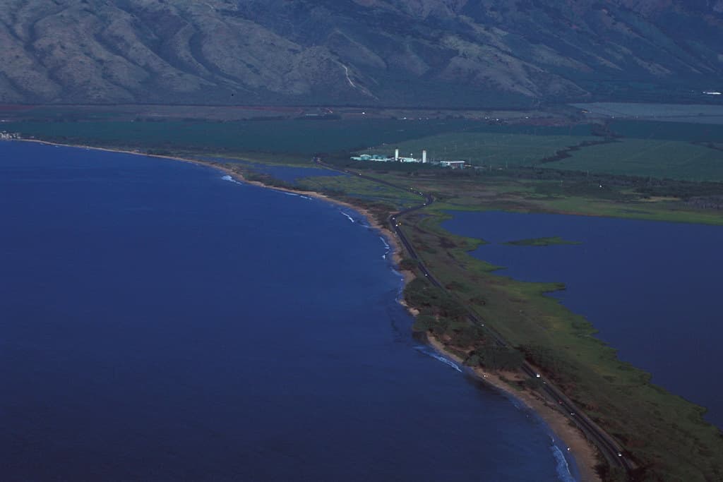 starr-980119-0245-Ipomoea_pes_caprae_subsp_brasiliensis-aerial_view-Kealia_Pond-Maui