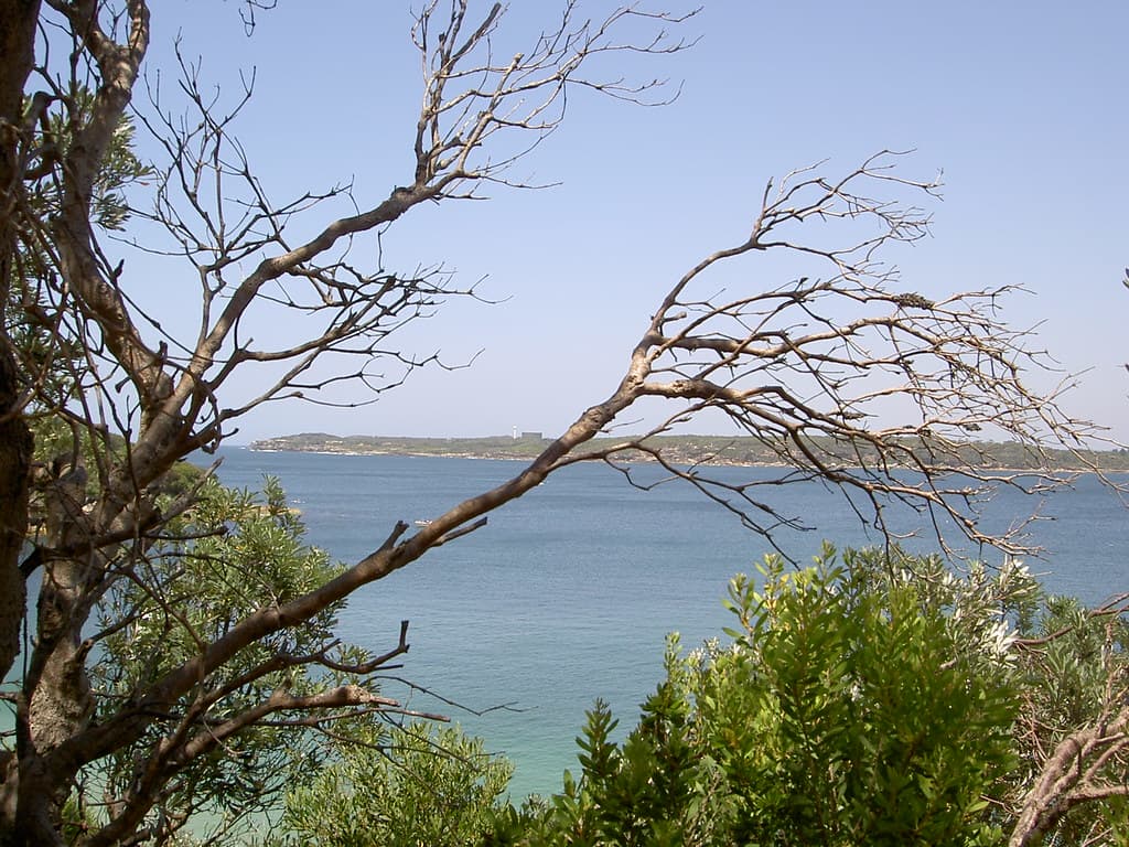 2007-02-03: La  Perouse walk