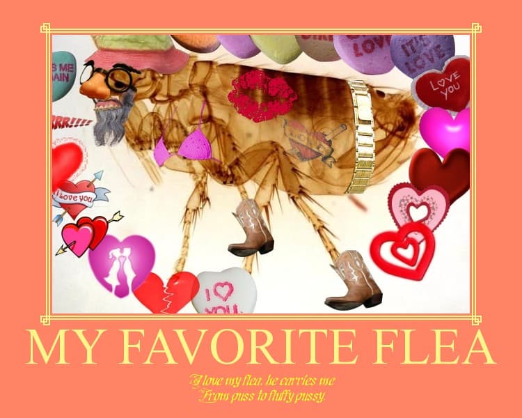 Frederick