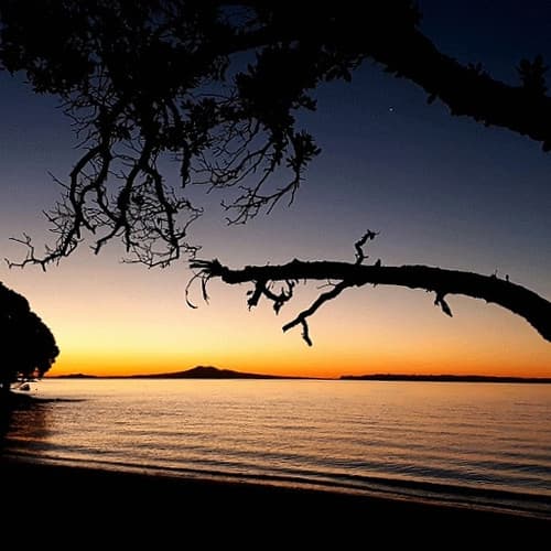 Shelley Beach
