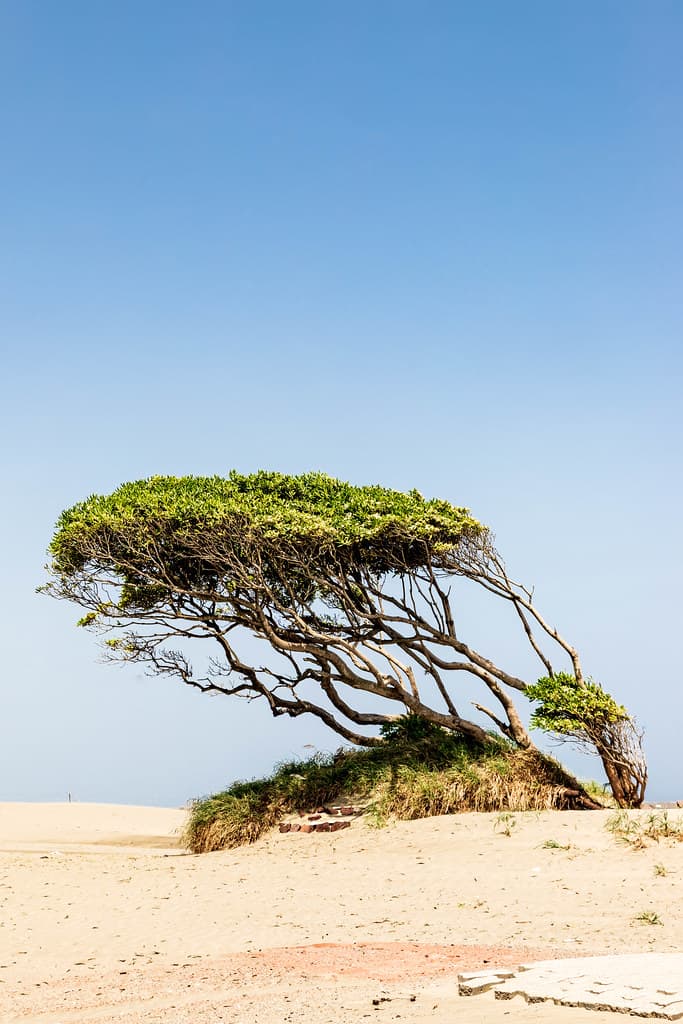 Kitayama Beach