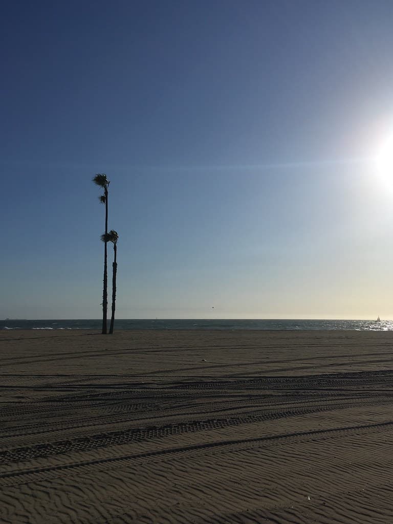 Beach Cities