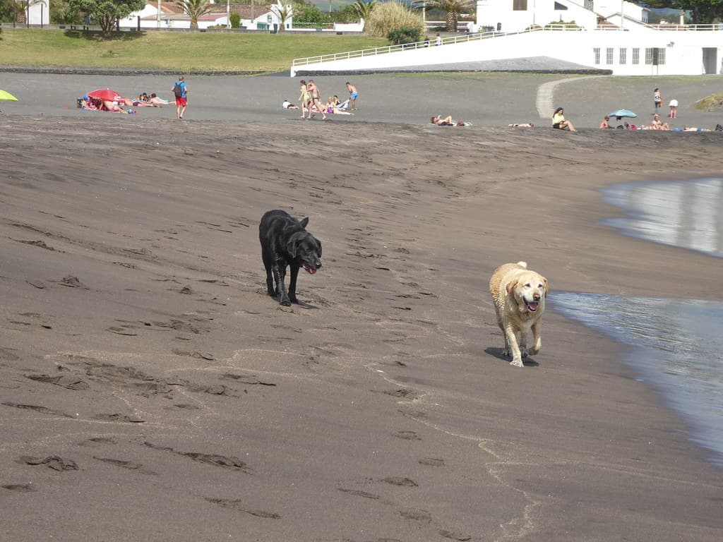 Praia do Populo