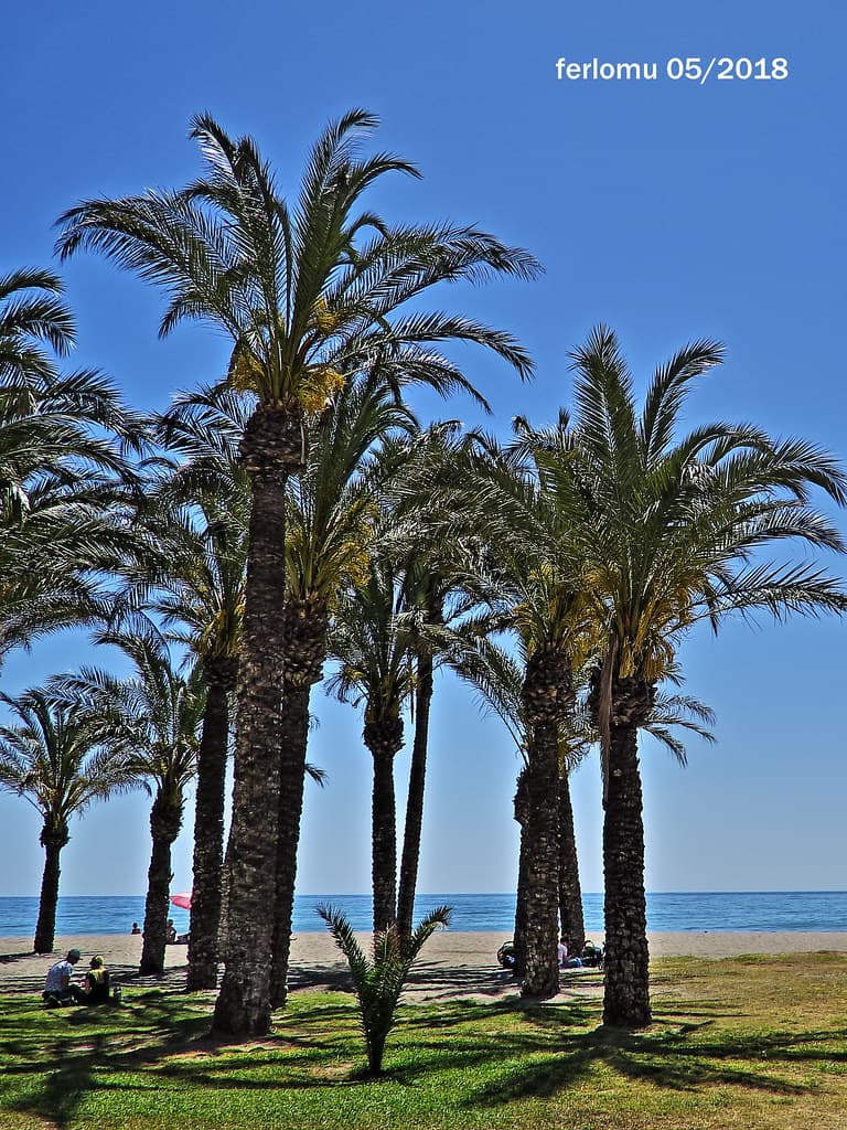 Playa de la Carihuela — photo by ferlomu