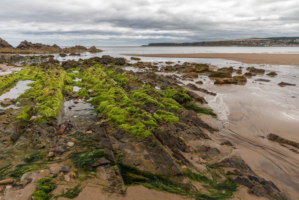 Cullen Beach