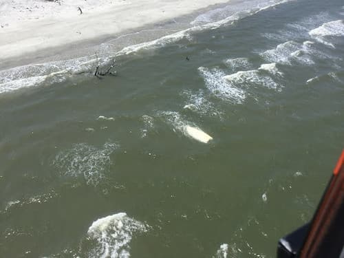 Dolphin Beach (Tybee Island) view 2