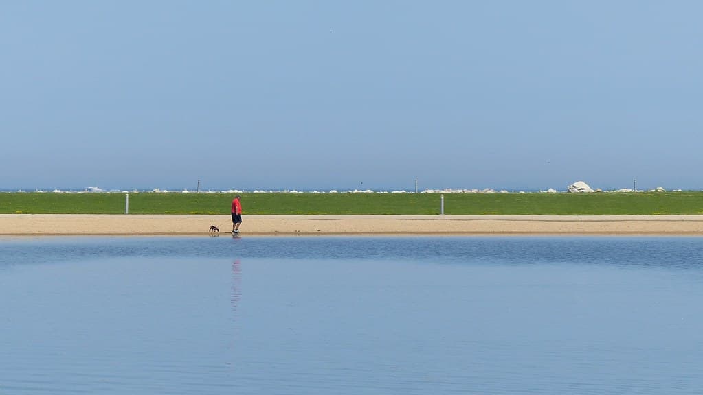 A Quiet Walk