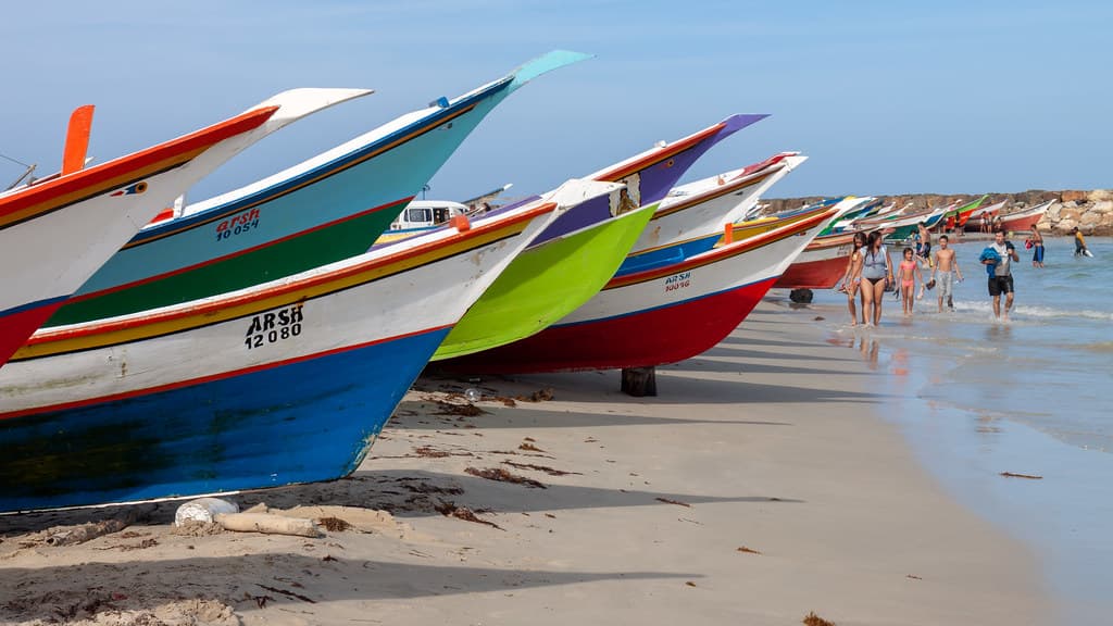 Playa Cardón