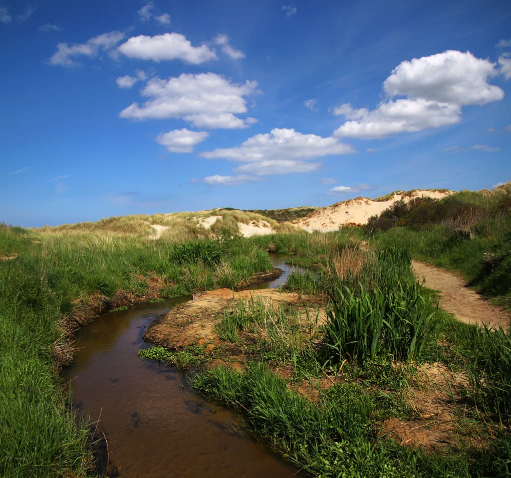 Plage d'Écault
