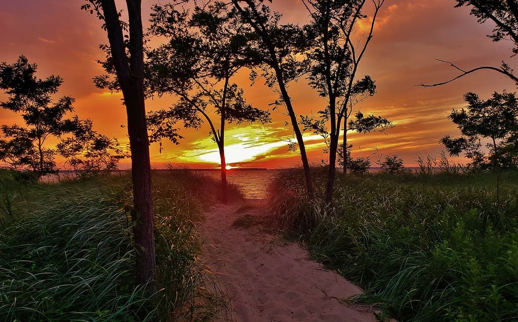 Beach Path Sunset Scene 2018