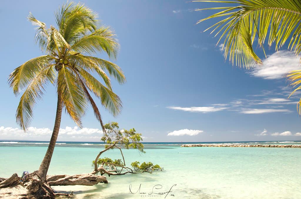 Anse Accul