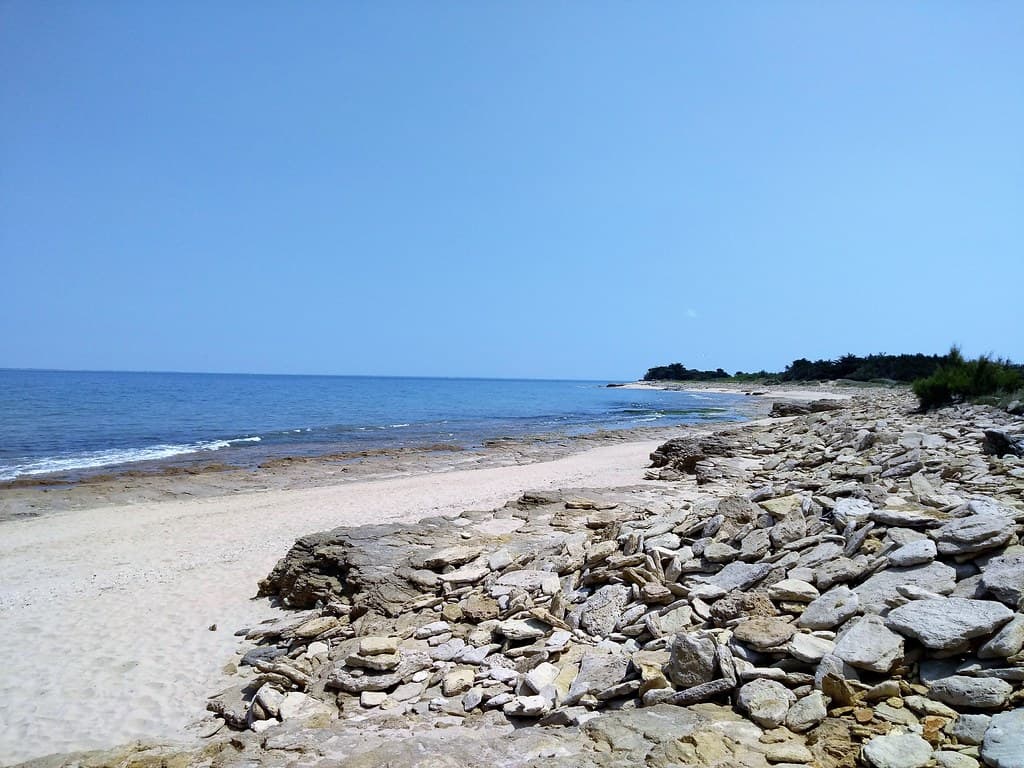 Plage de la Grange — photo by marsupilami92