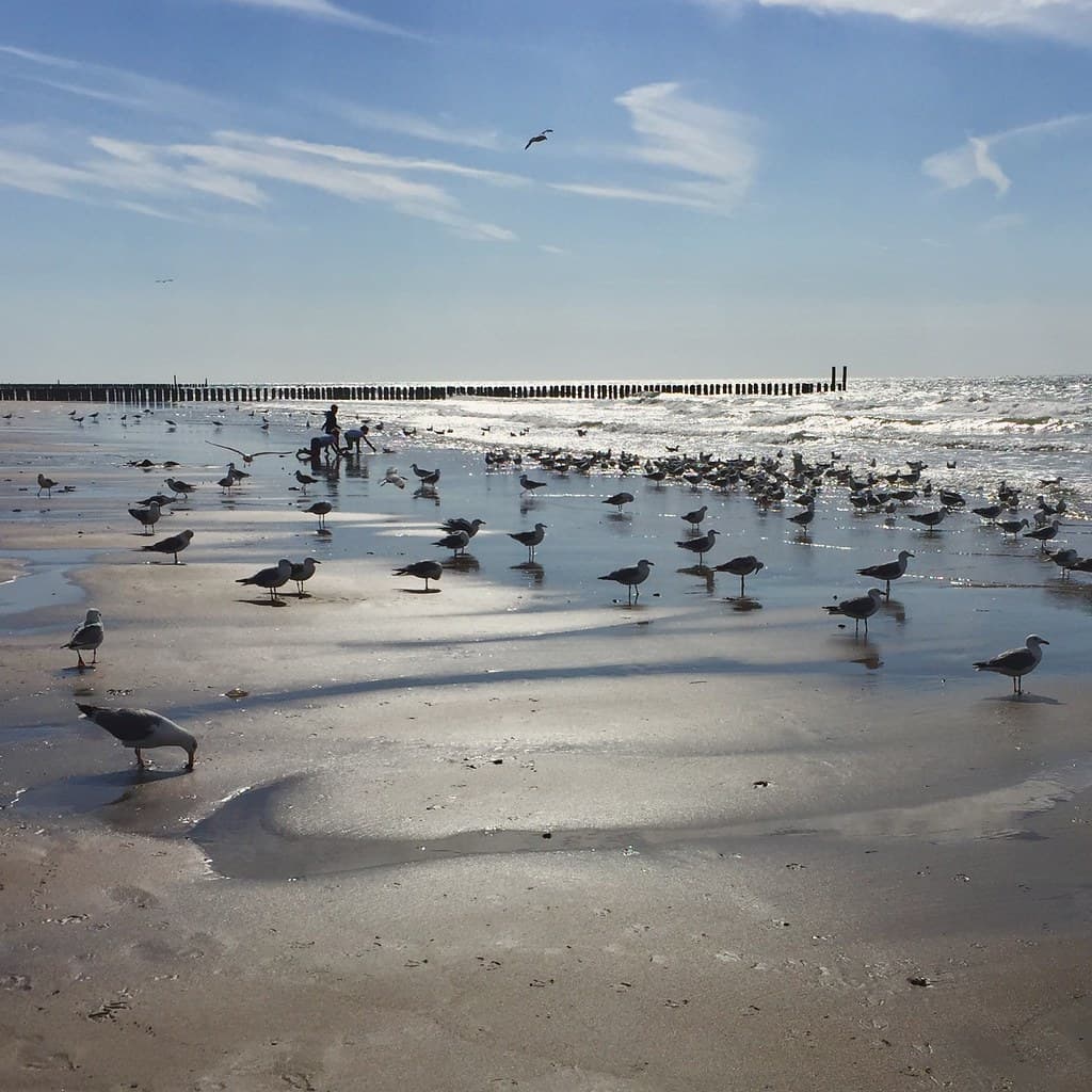 Hoge Hil Beach — photo by Frank van Dongen