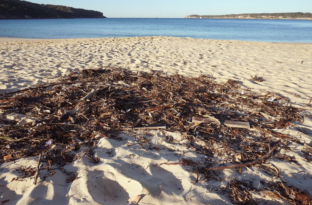Wrack
