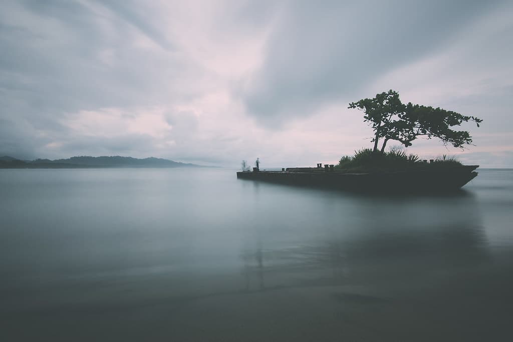 The barge