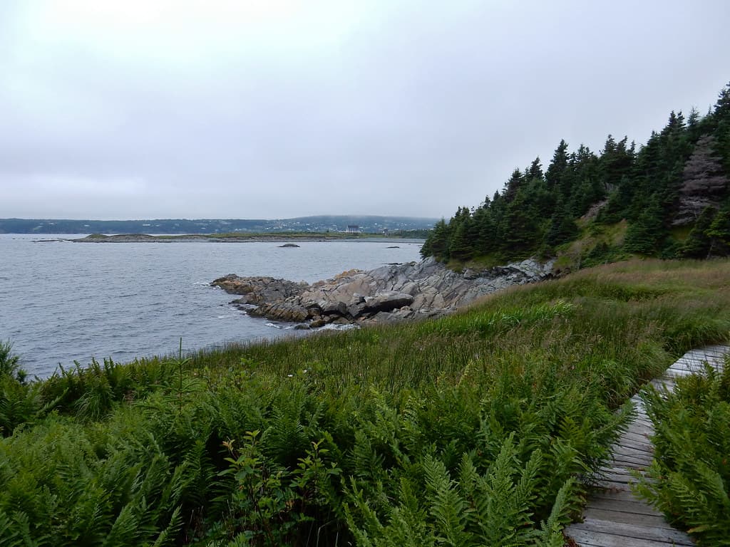 Witless Bay Beach — photo by Brett Hodnett