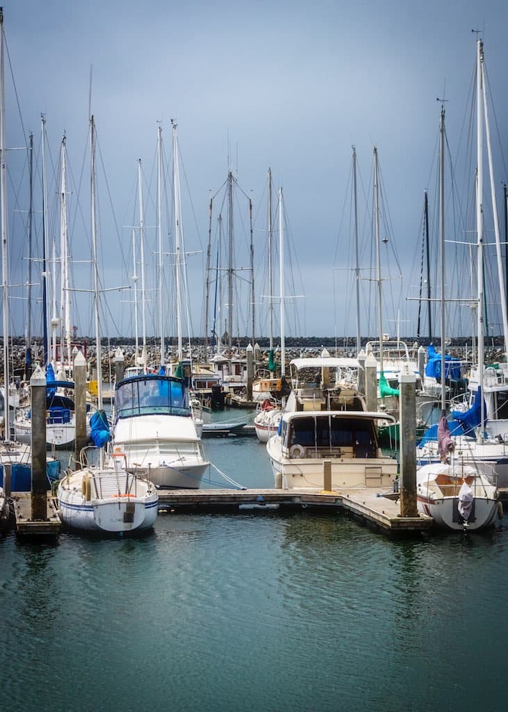 Pillar Point Harbor 02