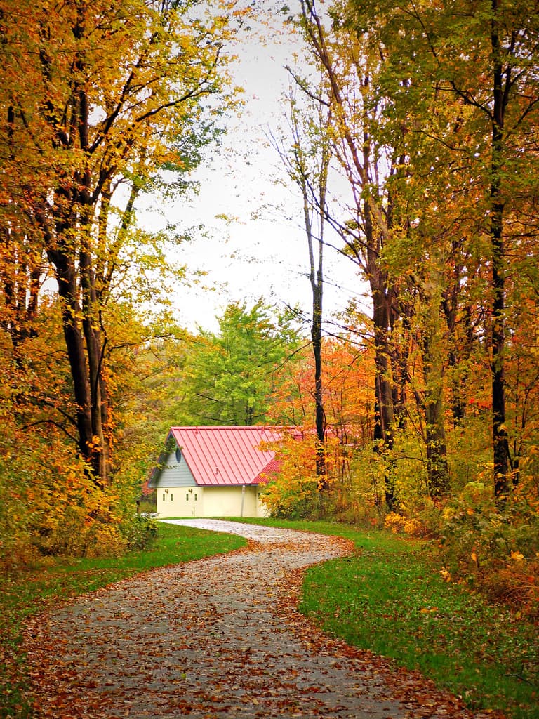 A peaceful autumn stroll