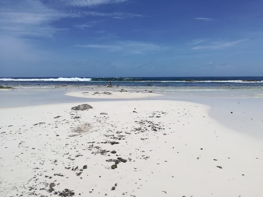 Bachelor’s Beach South Cove — photo by alljengi