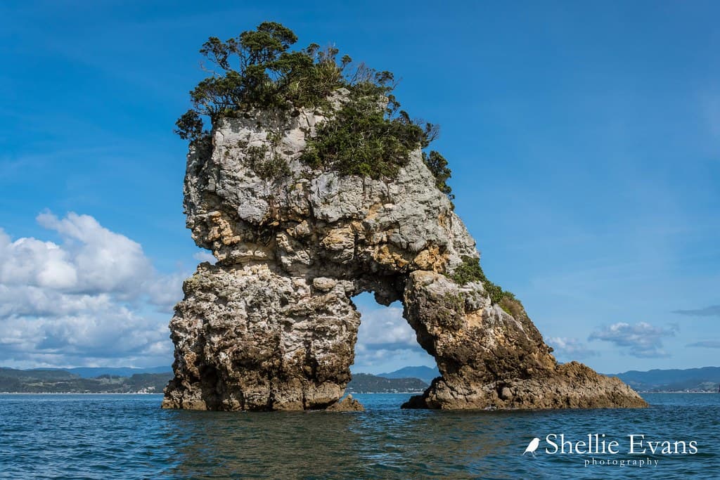 'Little Hole in the Rock', Mercury Bay, Coromandel, New Zealand  *Explored!*