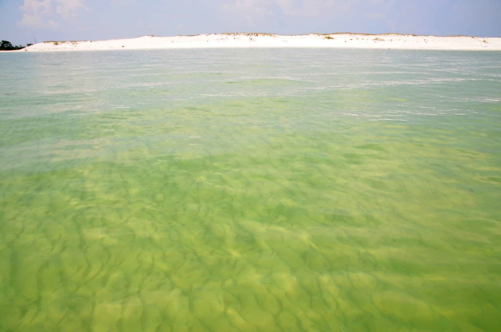 Pensacola Beach 14051