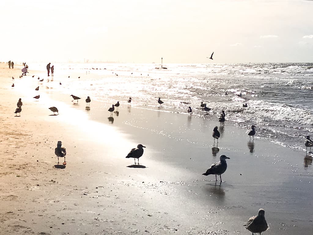 Scheveningen South Beach