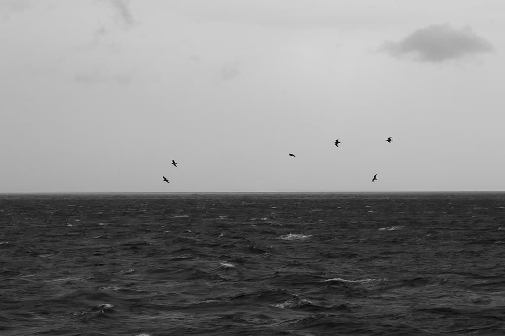 IMG_2679-1