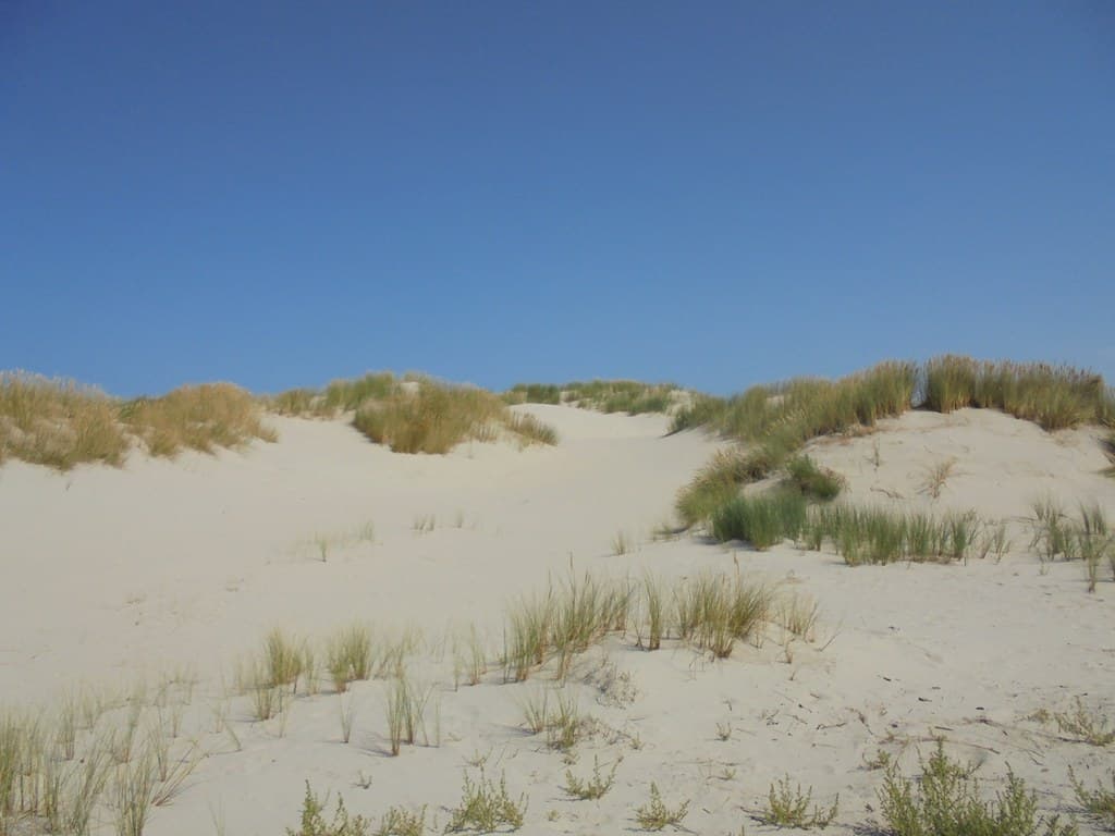 Hoorn Beach