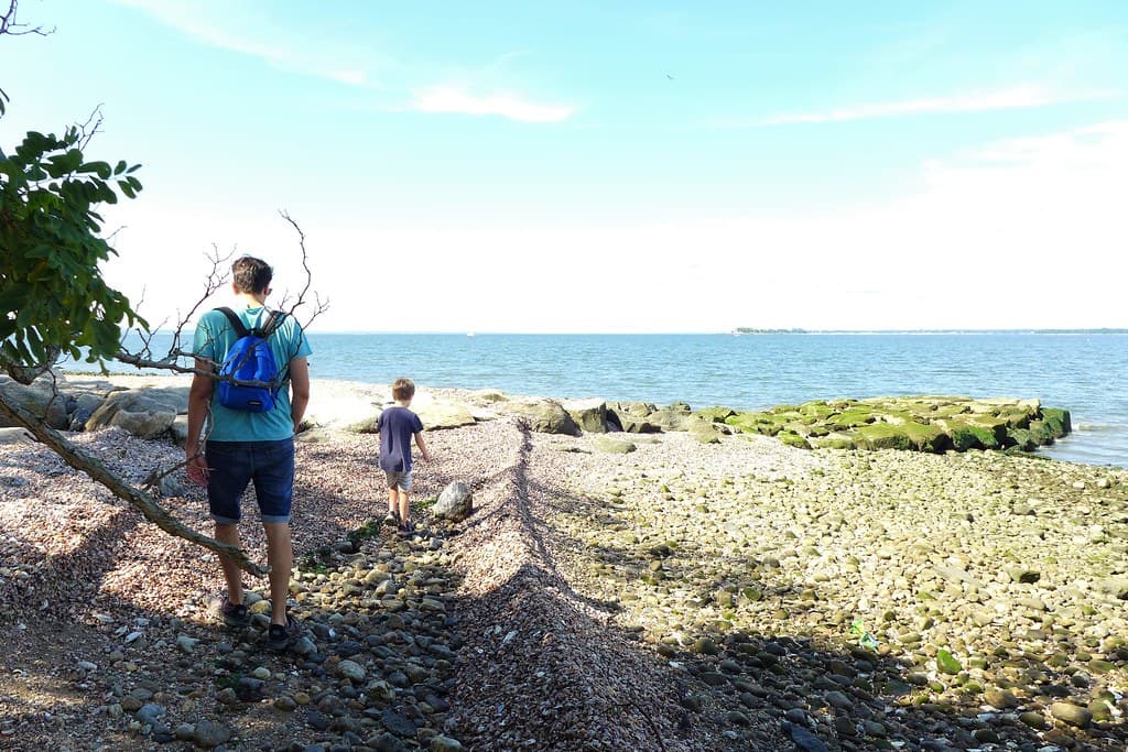 the usual crab hunt