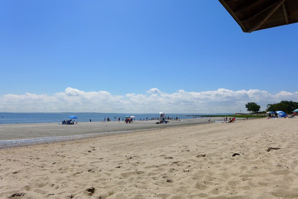 Greenwich Point Beach