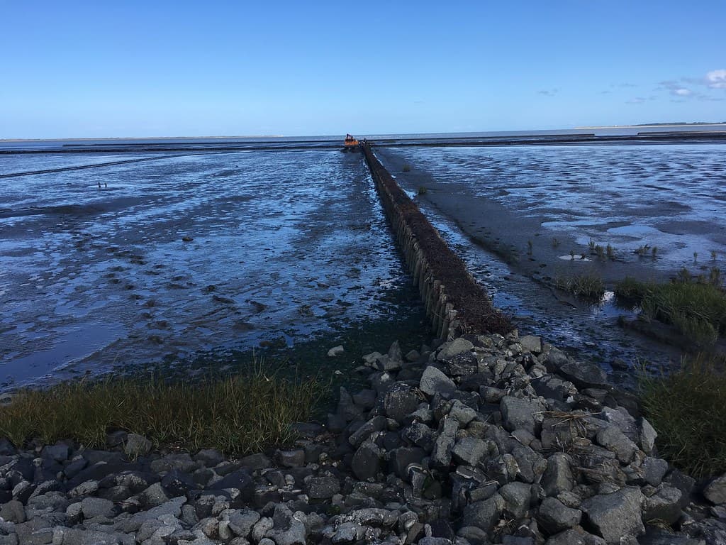 Neßmersiel Beach — photo by A. European