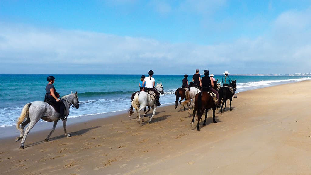 CABALLOS PLAYA