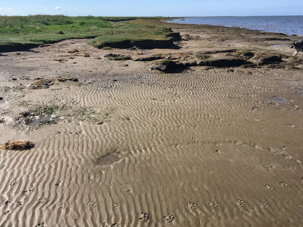 Neßmersiel Beach — photo by A. European