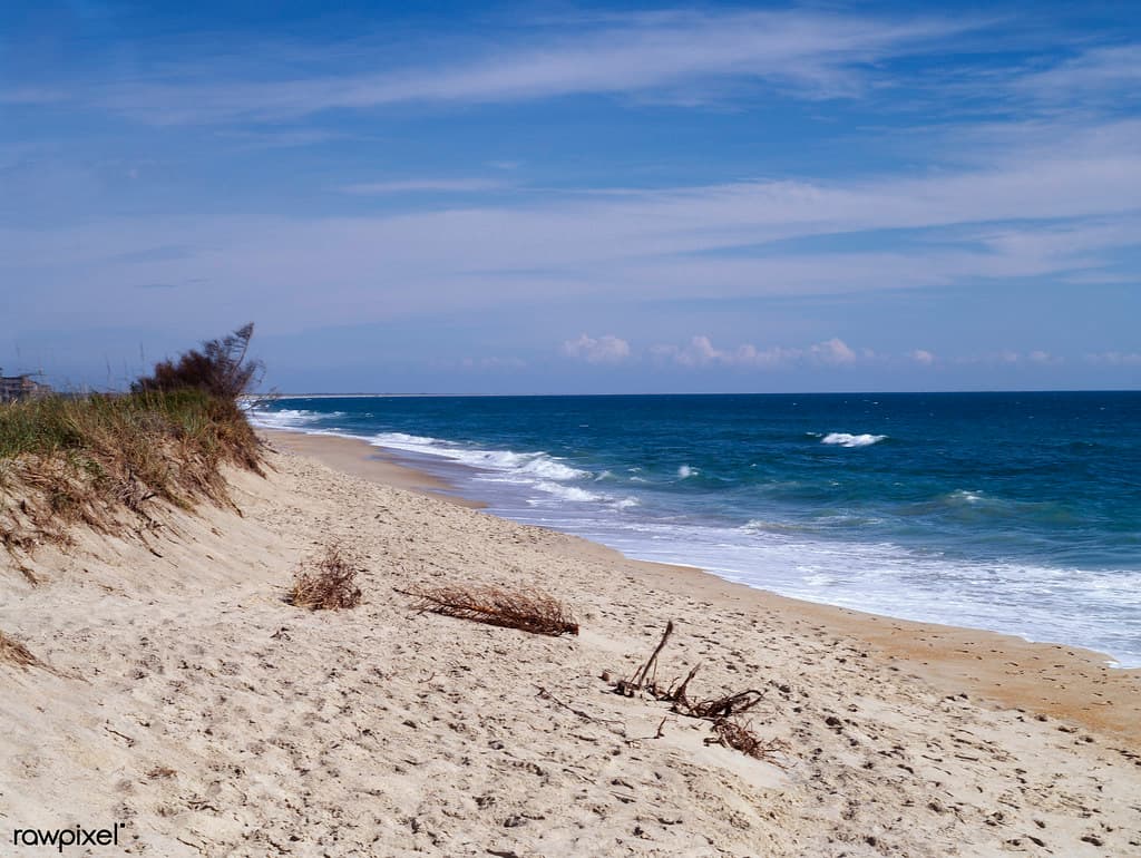 North Carolina Outer Banks Scene. Original image from Carol M. Highsmith’s America, Library of Congress collection. Digitally enhanced by rawpixel.