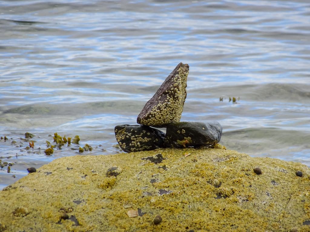 North Bay — photo by Dunnock_D