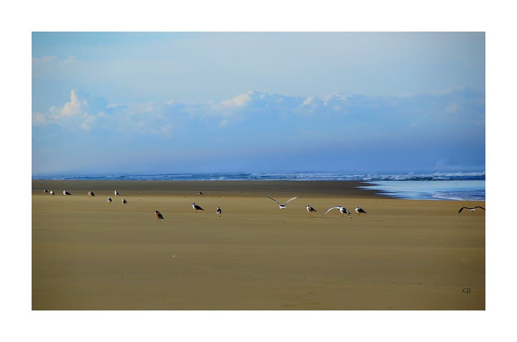 Plage du Courant — photo by kate053