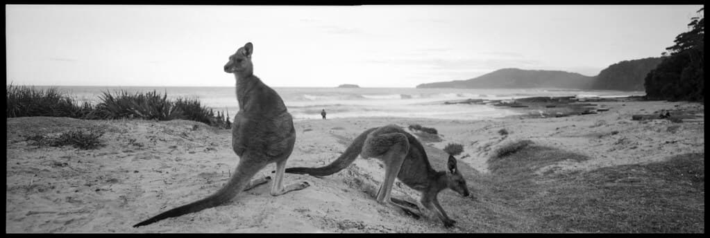 Pebbly Beach, NSW.