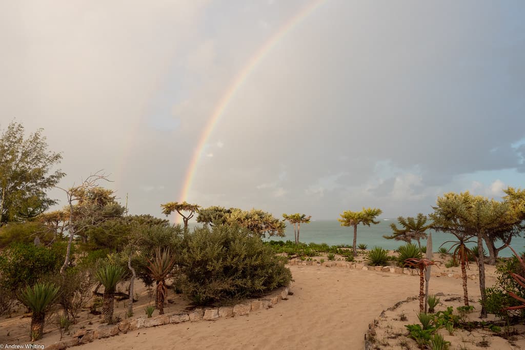 Anakao South Beach — photo by limpinglemur