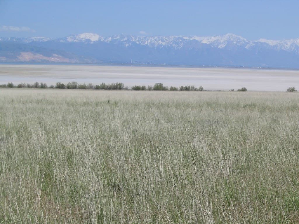 Salty Brine State Beach view 3