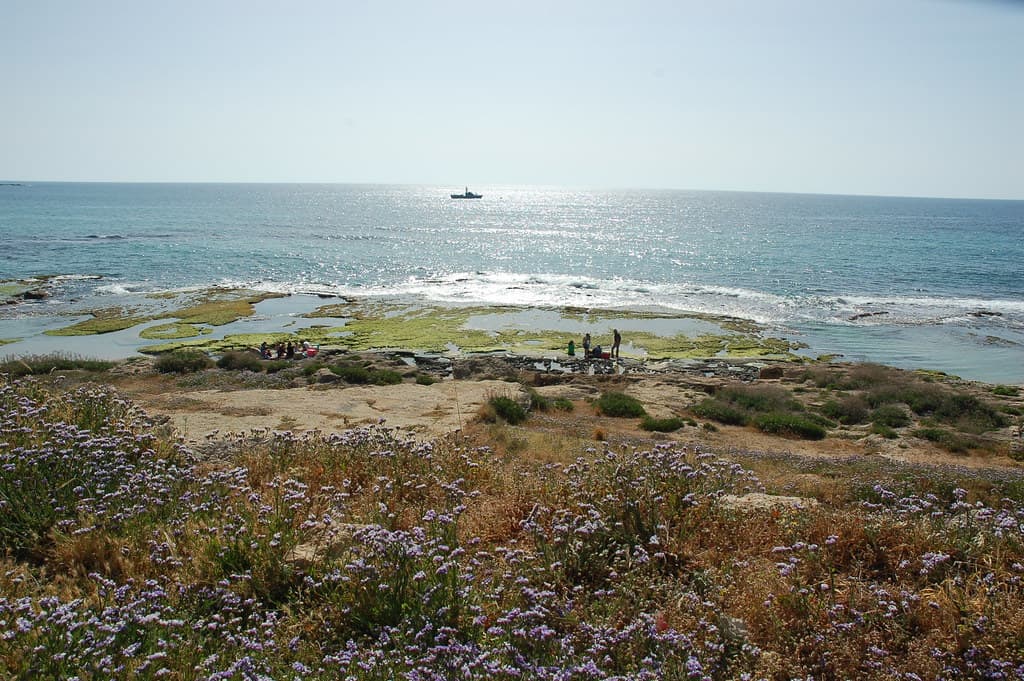 Alma ash Shaab South Cove — photo by david55king