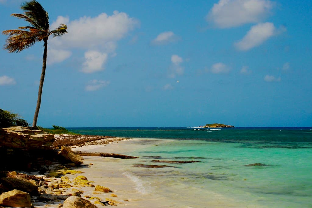 Davis Bay Beach — photo by sharkbait