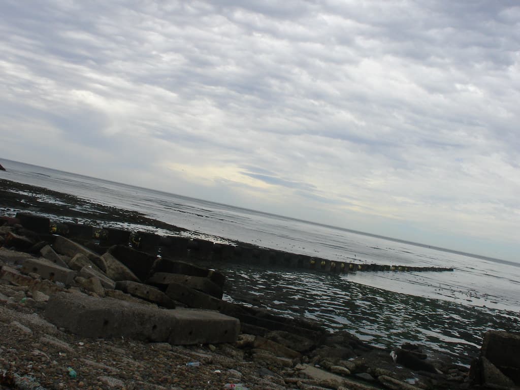 muelle II