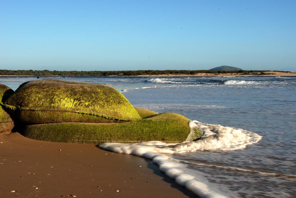 sand bags at Maroochydore