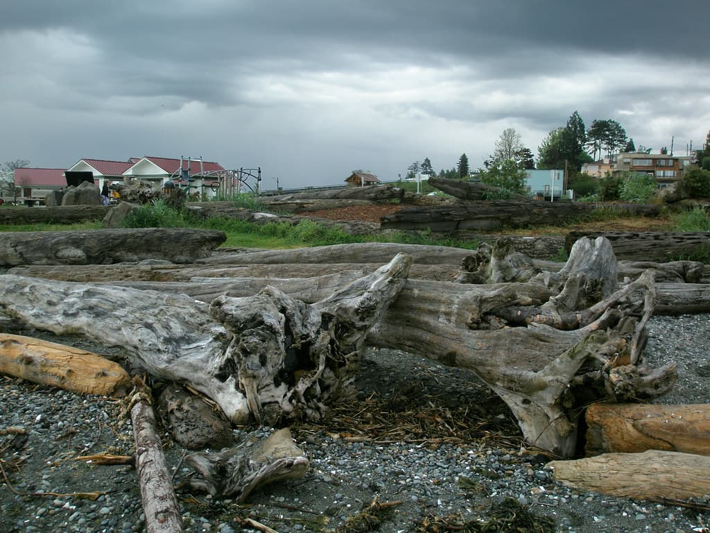 P5270056 - Mukilteo Beach