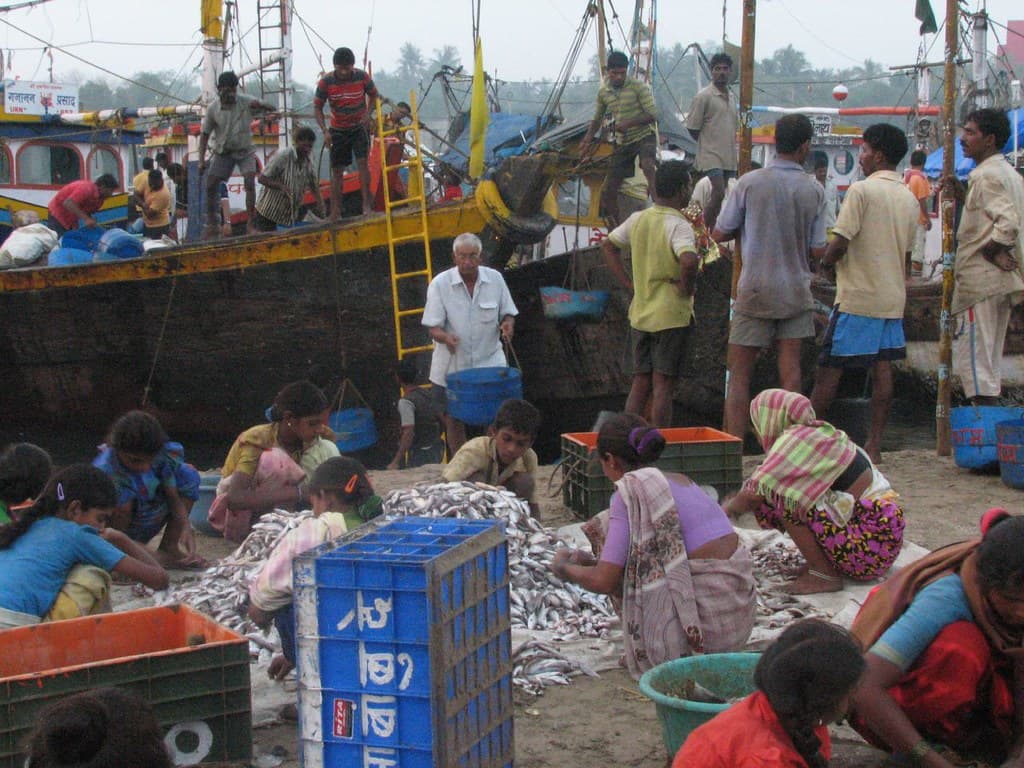 Unloading Fish @ Versova