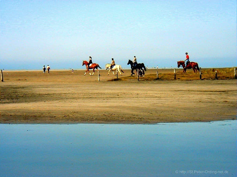 Neuenkirchen Beach — photo by nordseeinfo.de