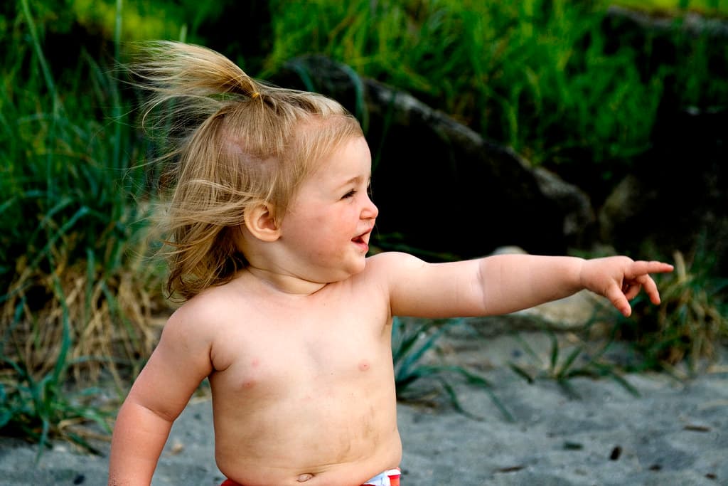 Pointing At The Beach