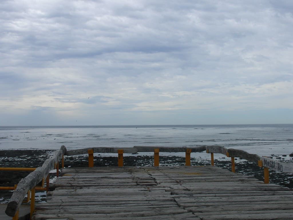 muelle